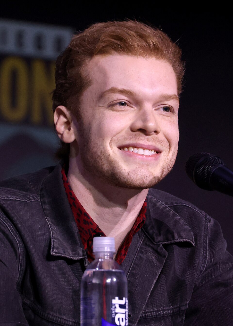 Before Gotham & Shameless: Cameron Monaghan as MITM's Chad